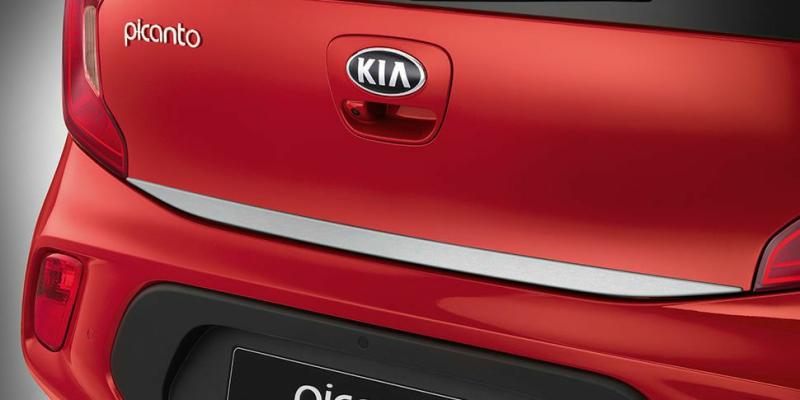 Exterior Protection | Tailgate Trim Line Exterior Accessories Exterior Protection